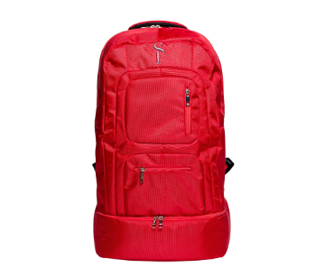 Sole Premise Multi functional Sneaker Backpack